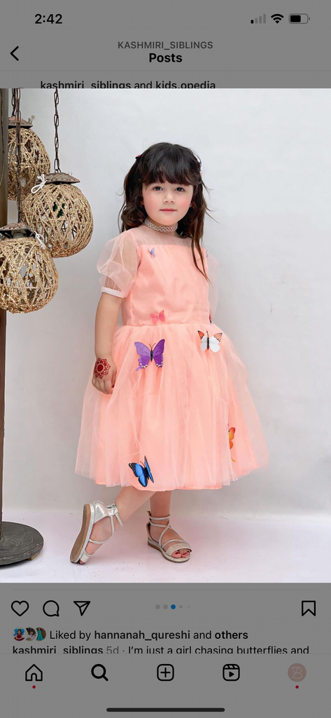 Peach Butterfly Frock