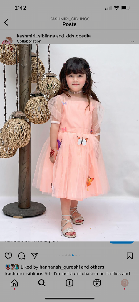 Peach Butterfly Frock