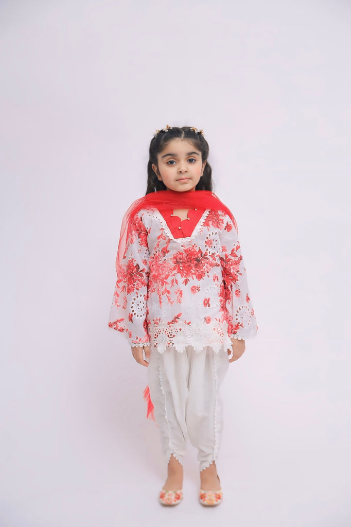 The Red chikankari dress